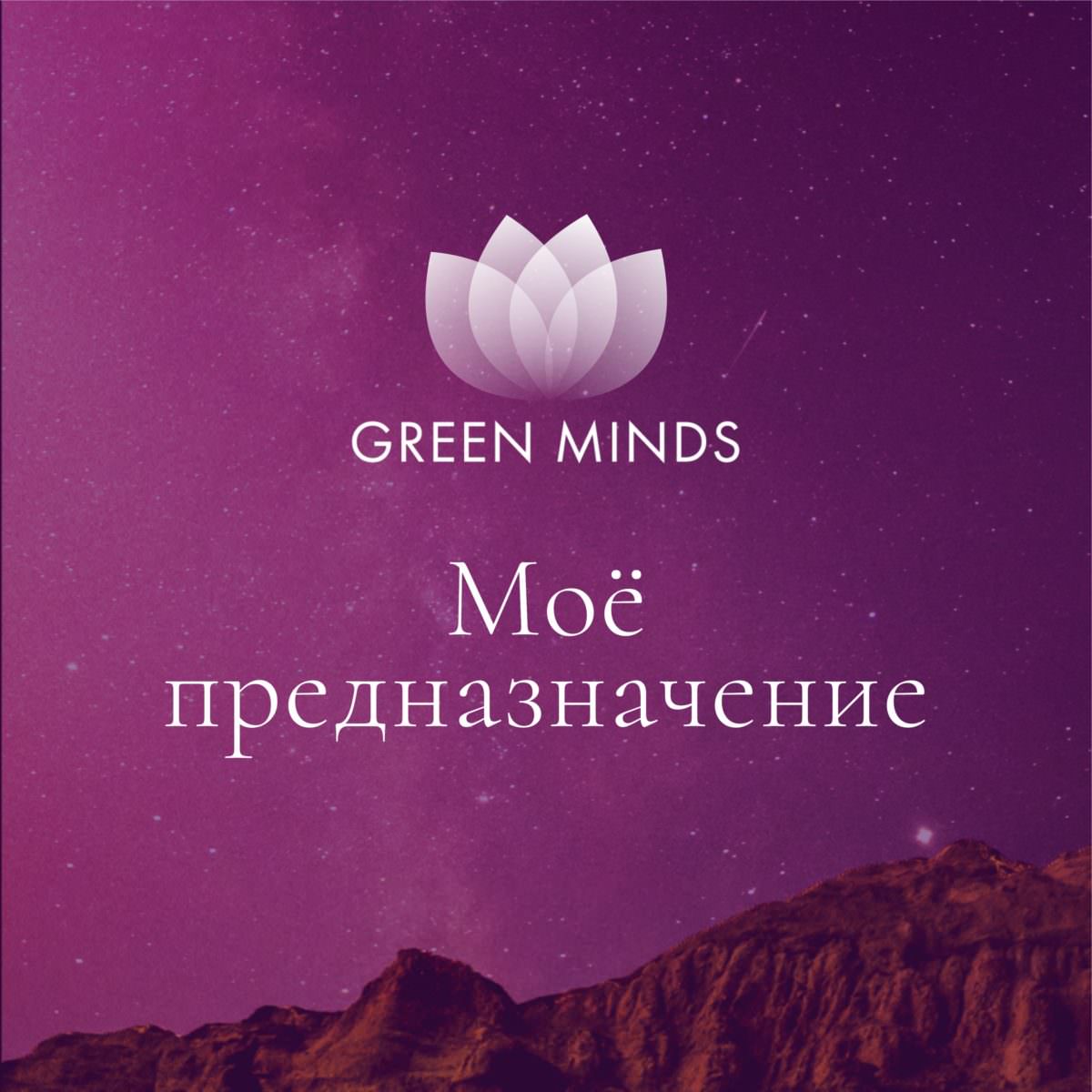 Нейромедитация GREEN MINDS «Моё предназначение» по цене 460 руб. - купить в  Саках ☛ Доставка ☆ Интернет-магазин «EcoGreenDom»